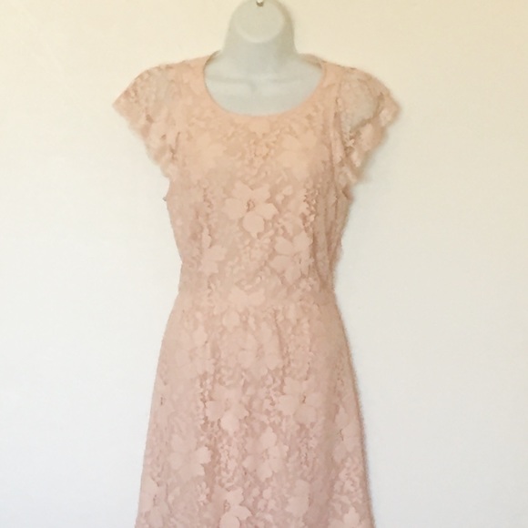 blush lace cocktail dress